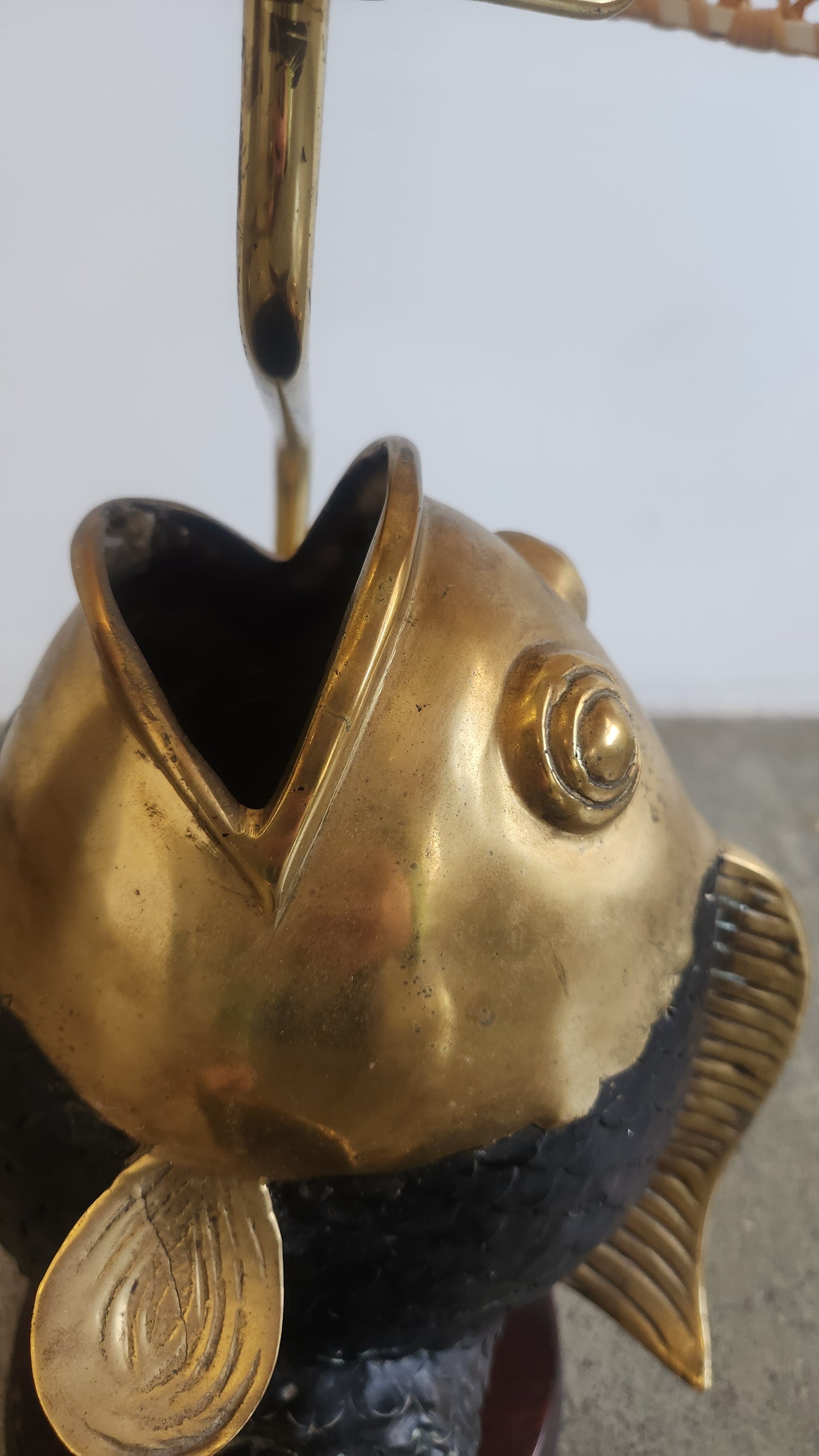 close up of the open mouth of a koi fish lamp
